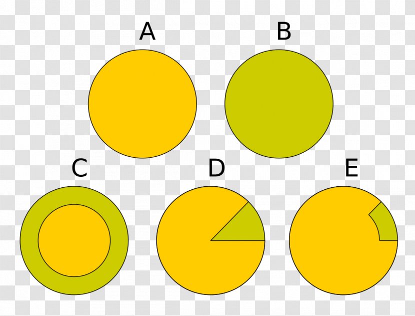 Chimera Genetics Organism Cell Microchimerism - Flower Transparent PNG