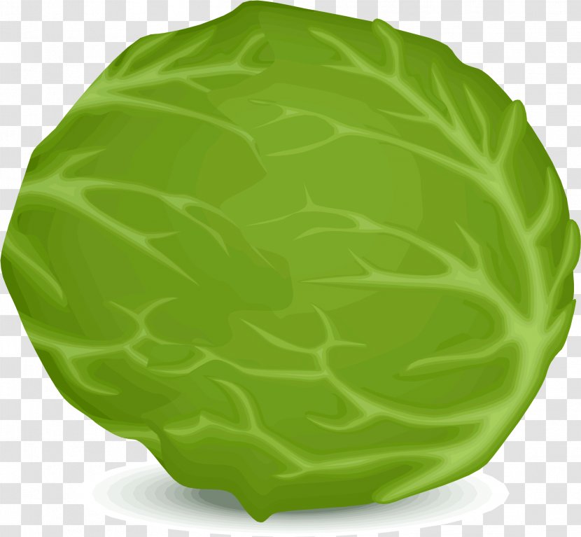 Clip Art Greens Salad Vector Graphics - Romaine Lettuce - tree Transparent PNG
