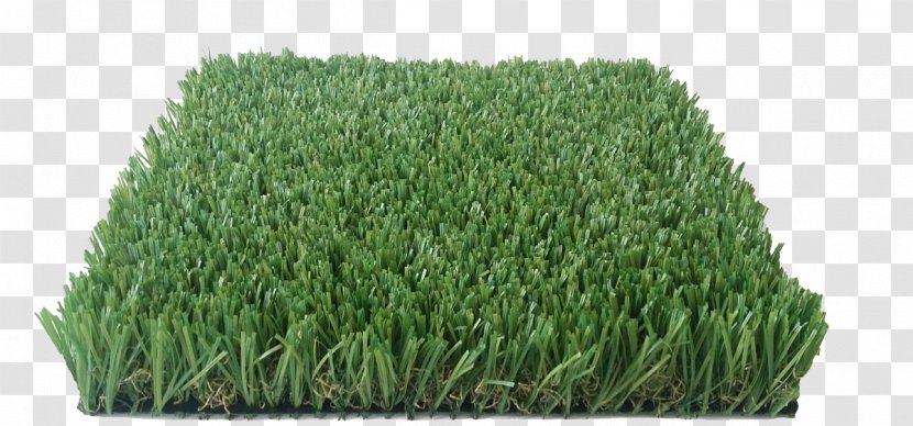 Teppich Kibek Fitted Carpet Artificial Turf Lawn Transparent PNG