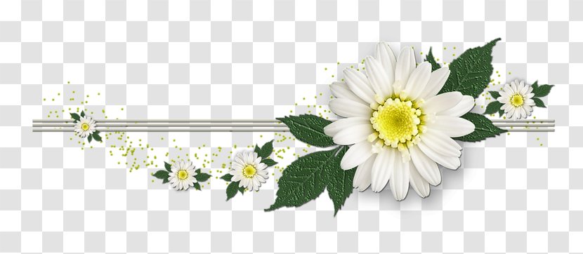 Flower - Oxeye Daisy - Petal Transparent PNG