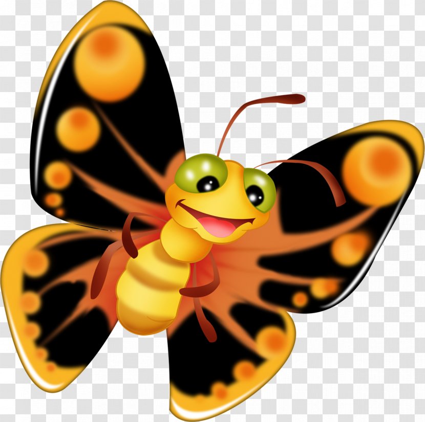 Butterfly Cartoon Drawing Clip Art - Color - Bugs Transparent PNG