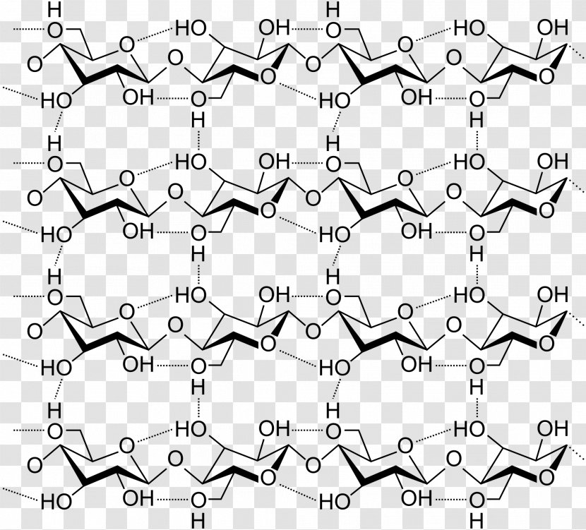 Cellulose Structure Hydrogen Bond Carbohydrate Polysaccharide - Tree Transparent PNG