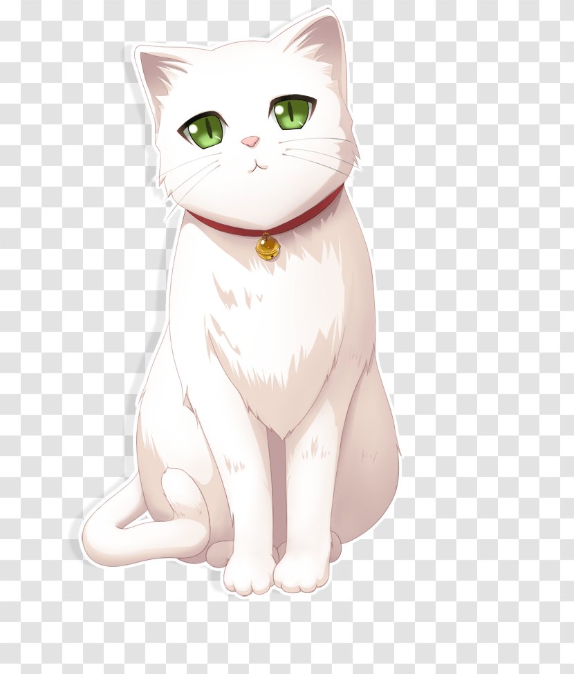 Kitten Whiskers Tabby Cat Domestic Short-haired - Neck Transparent PNG