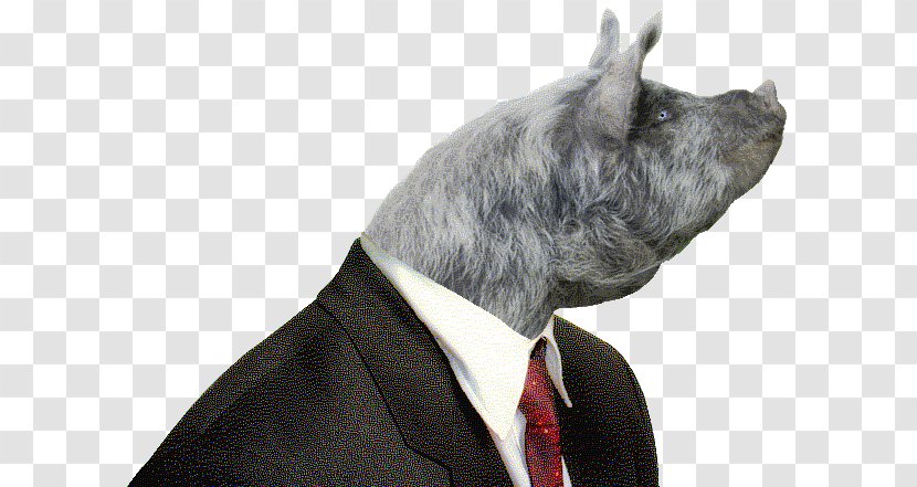 Pig Snout Suit Generation Of Swine Transparent PNG