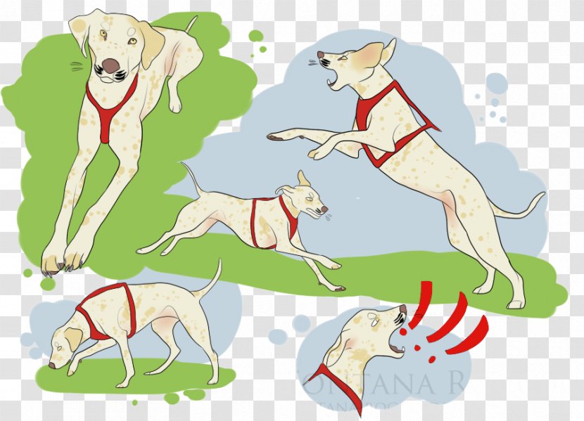 Whippet Italian Greyhound Dog Breed - Spotted Transparent PNG