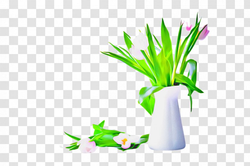 Flowers Background - Grass - Houseplant Plant Stem Transparent PNG