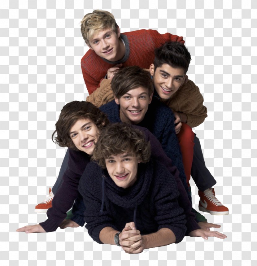Niall Horan One Direction Harry Styles - Flower - Transparent Image Transparent PNG