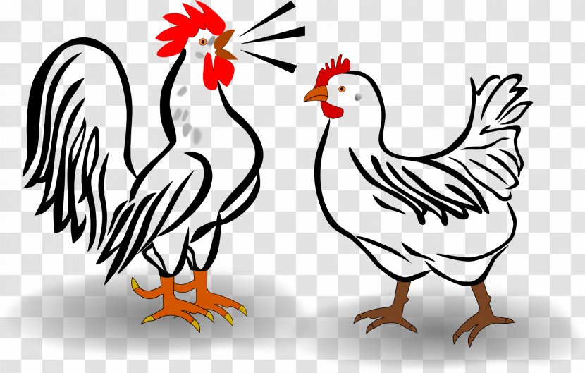 Leghorn Chicken Houdan Cochin Croad Langshan Rooster - Black And White Transparent PNG
