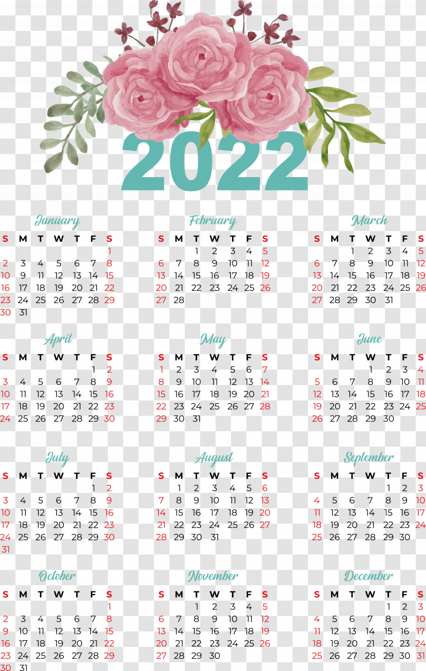 Calendar Font Meter Plant Biology Transparent PNG