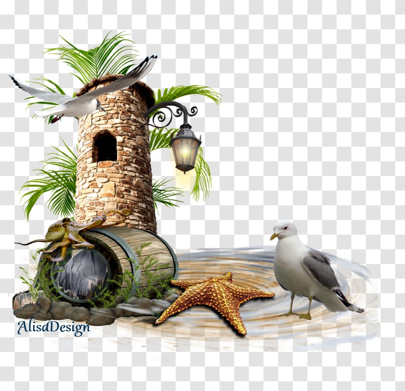 Bird Nest Diary Blog LiveInternet - Email Transparent PNG