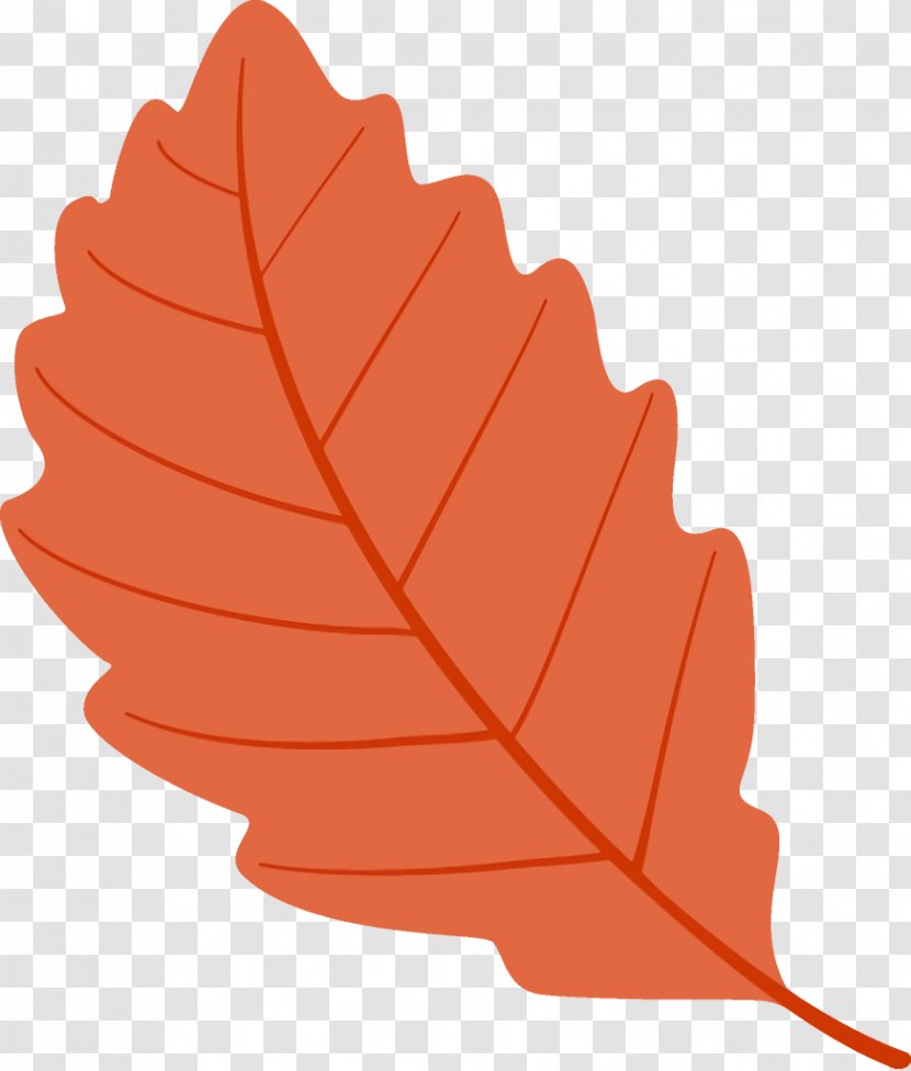 Autumn Leaf Fallen Dead - Orange - Plant Tree Transparent PNG
