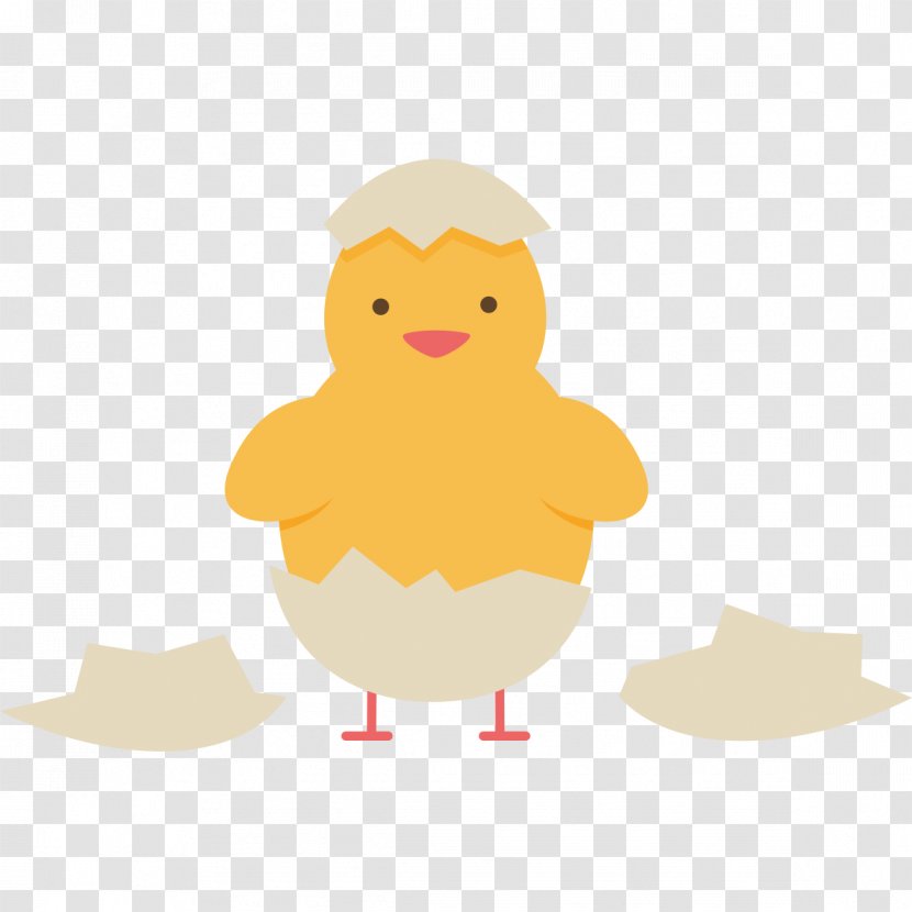 Chicken Duck Clip Art - Vertebrate - Chick Clothing Patterns Transparent PNG