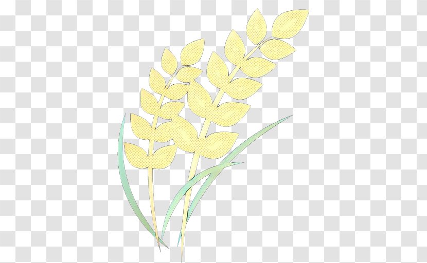 Yellow Flower Plant Pedicel Cut Flowers - Freesia Petal Transparent PNG