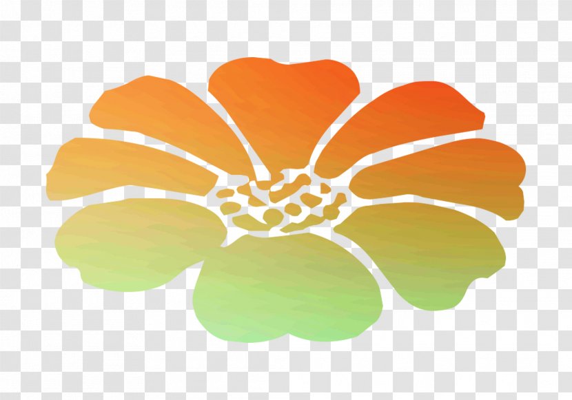 Flowering Plant Orange S.A. Plants Transparent PNG