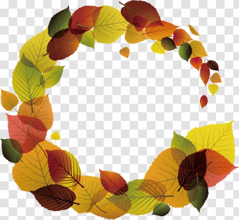Leaf Color - Drawing - Fall Season Transparent PNG