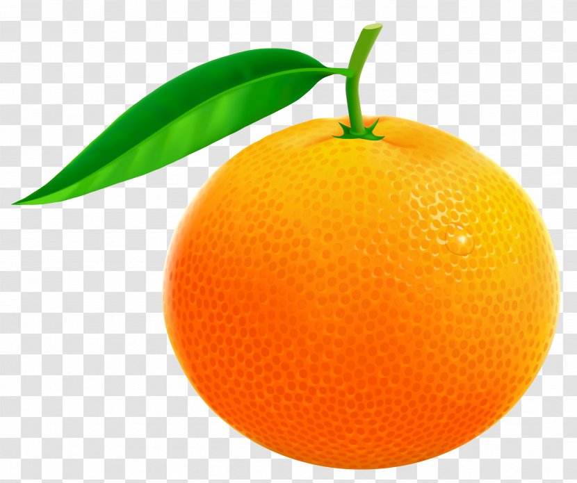 Orange Free Content Clip Art - Clementine - Fruit Cliparts Transparent PNG