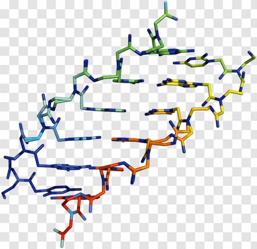 Peptide Nucleic Acid Analogue DNA - Point - Three-dimensional Effect Transparent PNG