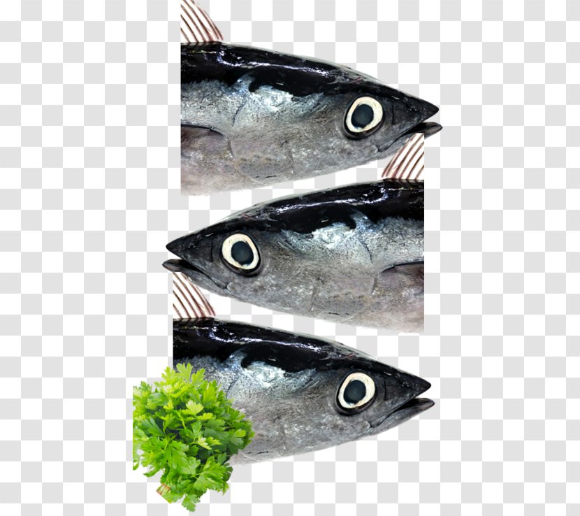 Mackerel Organic Food Italy Parsley Animal Source Foods Transparent PNG