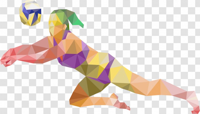 Training Volleyball Sport Beach - Muscle - Female Players Transparent PNG