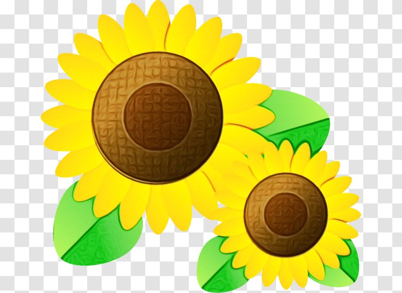 Flower Paint - Sunflower - Plant Transparent PNG