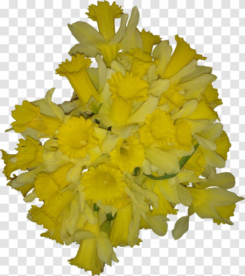 Cut Flowers Petal Wedding Flower Bouquet - Bride - Yellow Transparent PNG