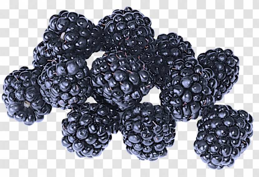 Blackberry Berry Rubus Fruit Loganberry - Frutti Di Bosco Mulberry Transparent PNG