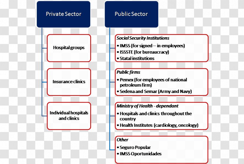 Mexican Social Security Institute Organization Health Care Insurance - Body Diagram Transparent PNG