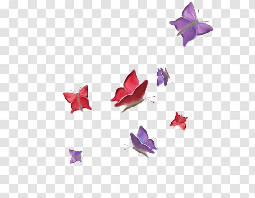 Butterfly In A Flower Drawing - Petal - Data Transparent PNG