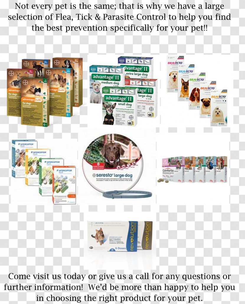 Apricot Veterinary Hospital Veterinarian Pet Dog Clinique Vétérinaire - Medical Prescription - Senior Care Flyer Transparent PNG