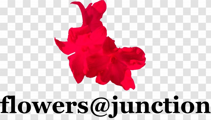 Flowers @ Junction Petal Floristry Ikebana - Red - Love Transparent PNG