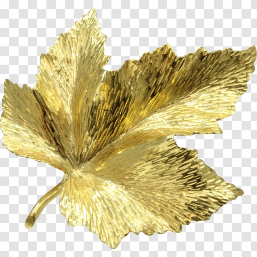 Canada Brooch Gold Maple Leaf Transparent PNG