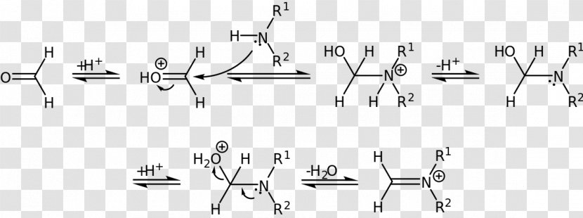 Dehydration Reaction Mannich Mechanism Amine Imine - Chemical - Tree Transparent PNG