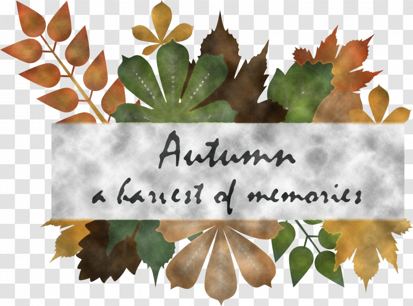 Hello Autumn Happy Fall Autumn Background Transparent PNG