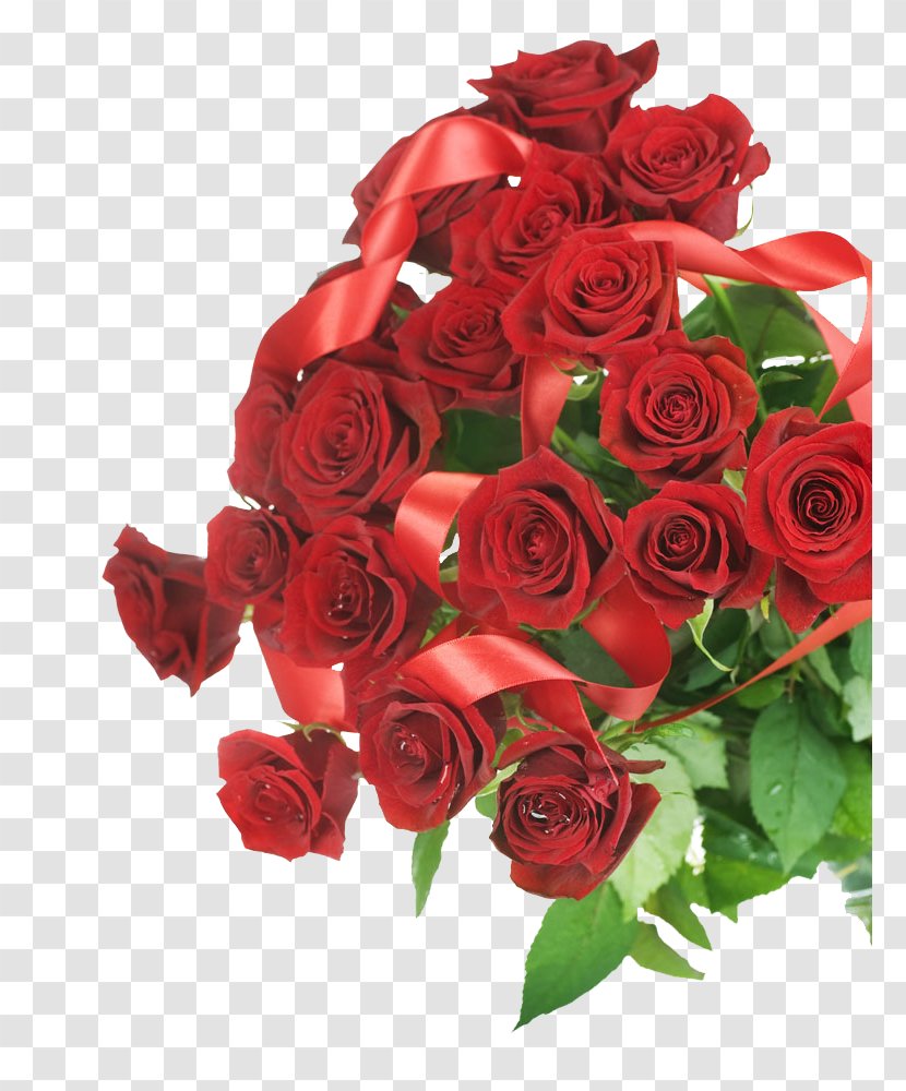 Beach Rose Garden Roses Flower - Artificial - The Red Ribbon Wound Beam Transparent PNG