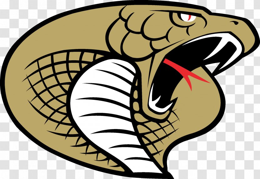 Hudson High School Carolina Cobras Arena Football League Logo - Reptile - Headgear Transparent PNG