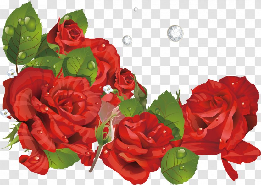 Garden Roses Beach Rose Valentines Day Clip Art - Floristry - Red Transparent PNG