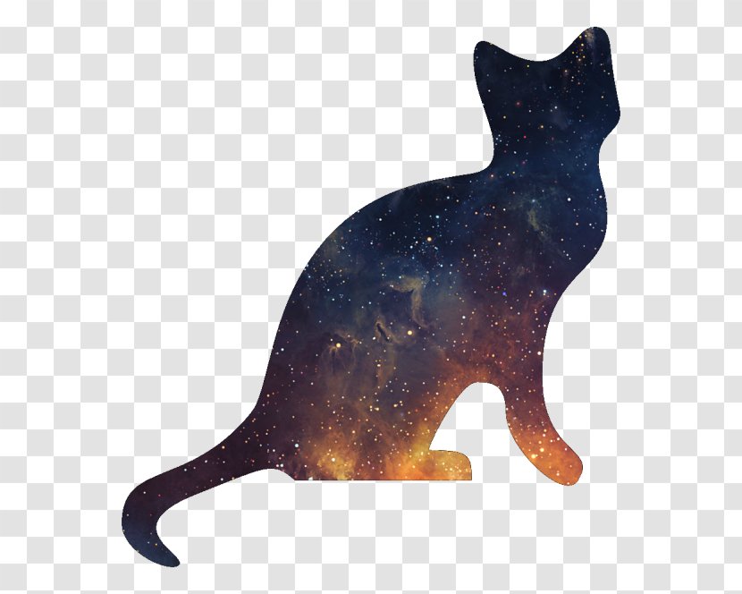 Cat Kitten Silhouette Clip Art Transparent PNG