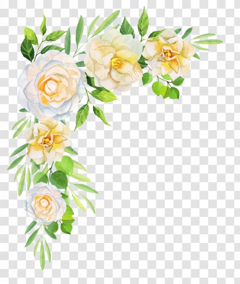 Drawing Flower Garden Roses Floral Design - Petal Transparent PNG