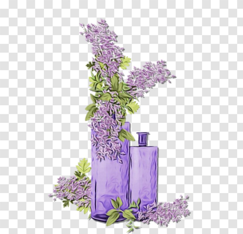 Lavender - Plant - Flowering English Transparent PNG
