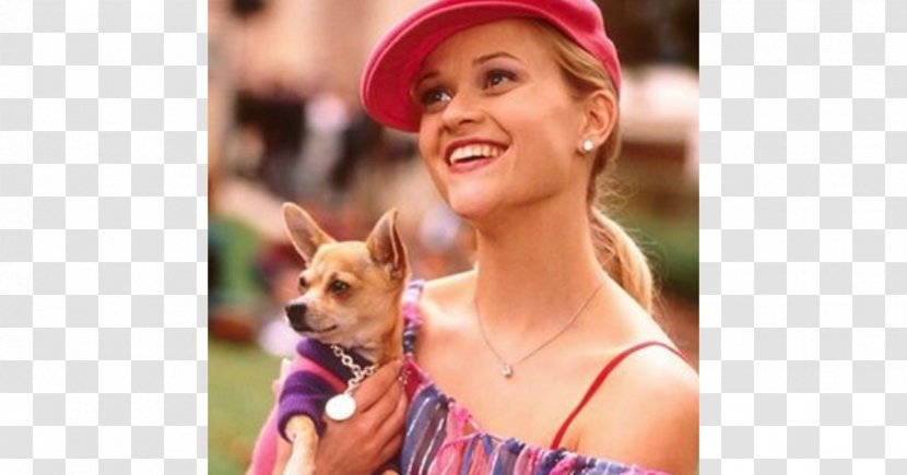 Reese Witherspoon Legally Blonde Elle Woods Chihuahua Death - Frame - Deacon Phillippe Transparent PNG