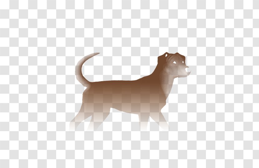 Dog Breed Puppy Louisiana Catahoula Leopard Image - Cat - Mountain Cur Transparent PNG
