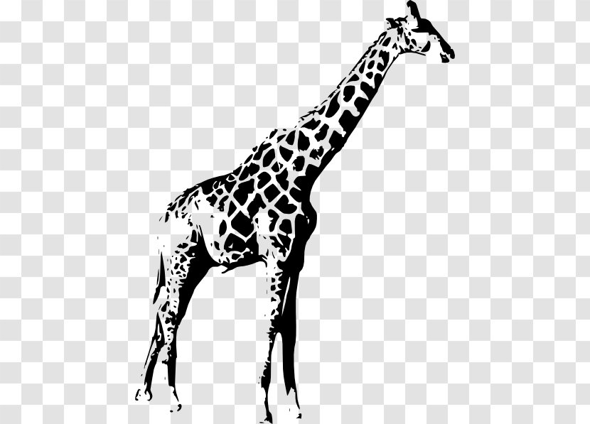 Giraffe Animal Clip Art - Line - Black Transparent PNG