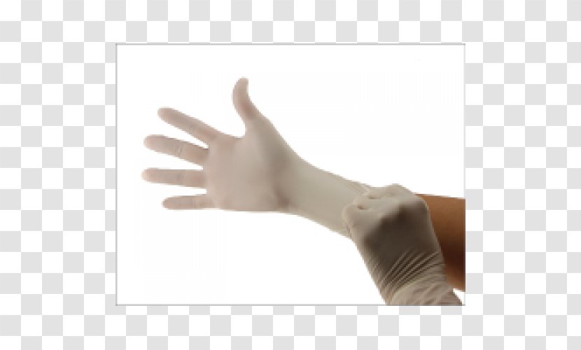 Thumb Glove Hand Model - Latex Gloves Transparent PNG