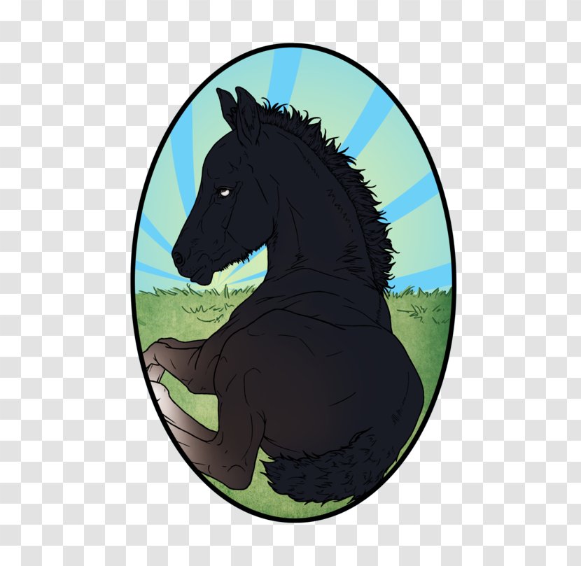 Mustang Mane Stallion Pony Halter Transparent PNG