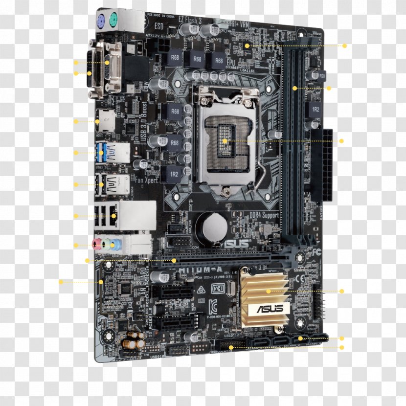 Intel LGA 1151 MicroATX Motherboard DDR4 SDRAM - Central Processing Unit Transparent PNG