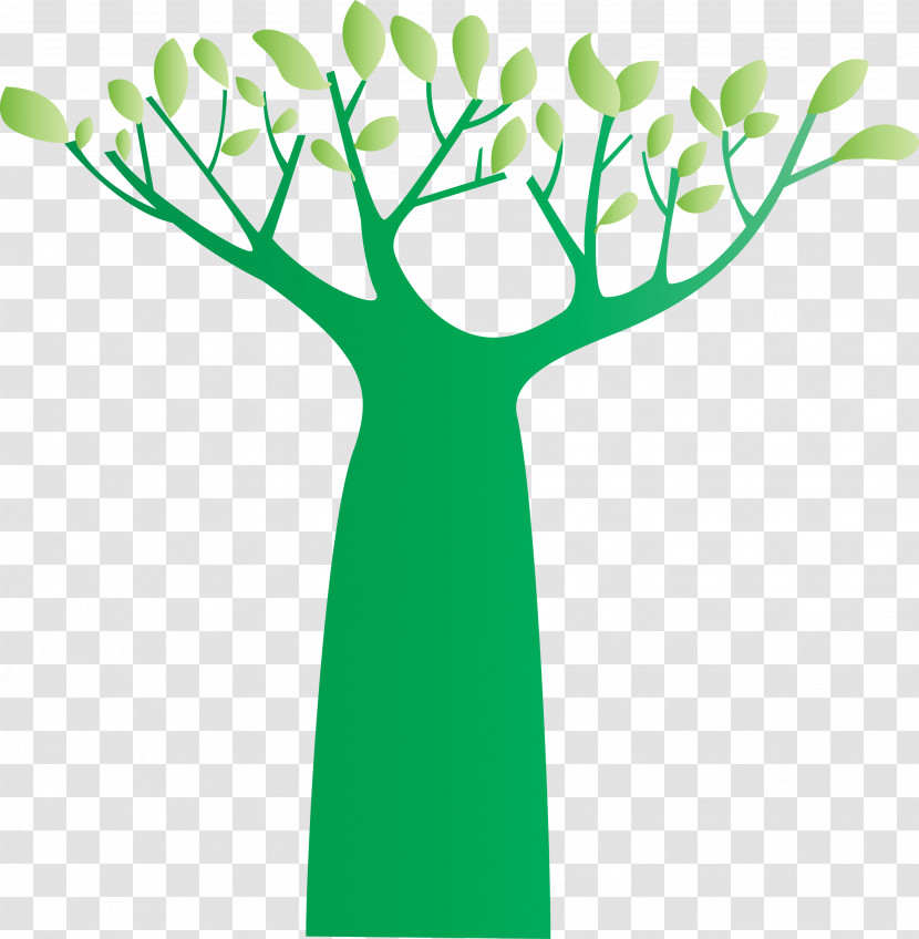 Root Leaf Branch Tree Woody Plant Transparent PNG