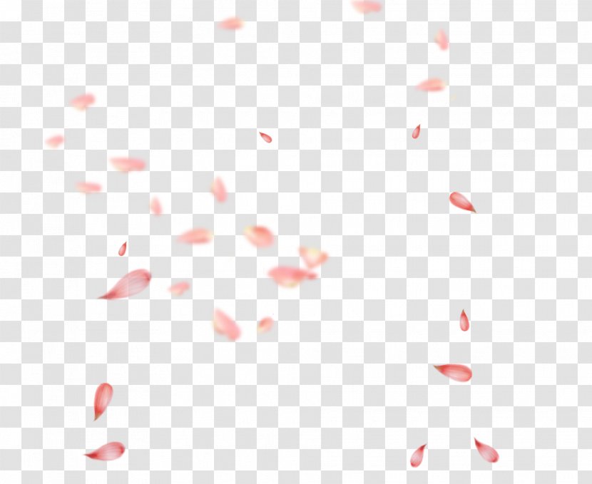 Petal Flower Image Vector Graphics - Confetti Transparent PNG