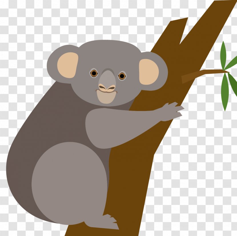 Koala Bear Euclidean Vector - Tree - Cartoon Transparent PNG