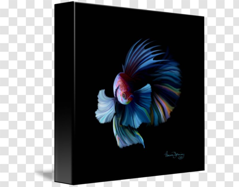 Chicken As Food - Flower - Siamese Fighting Fish Transparent PNG
