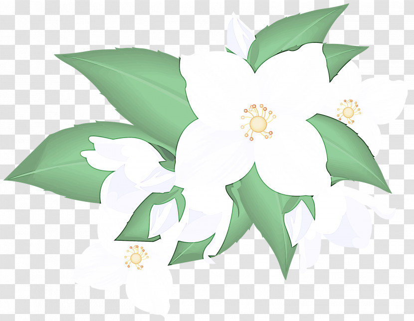 Flower Leaf Plant Biology Plant Structure Transparent PNG